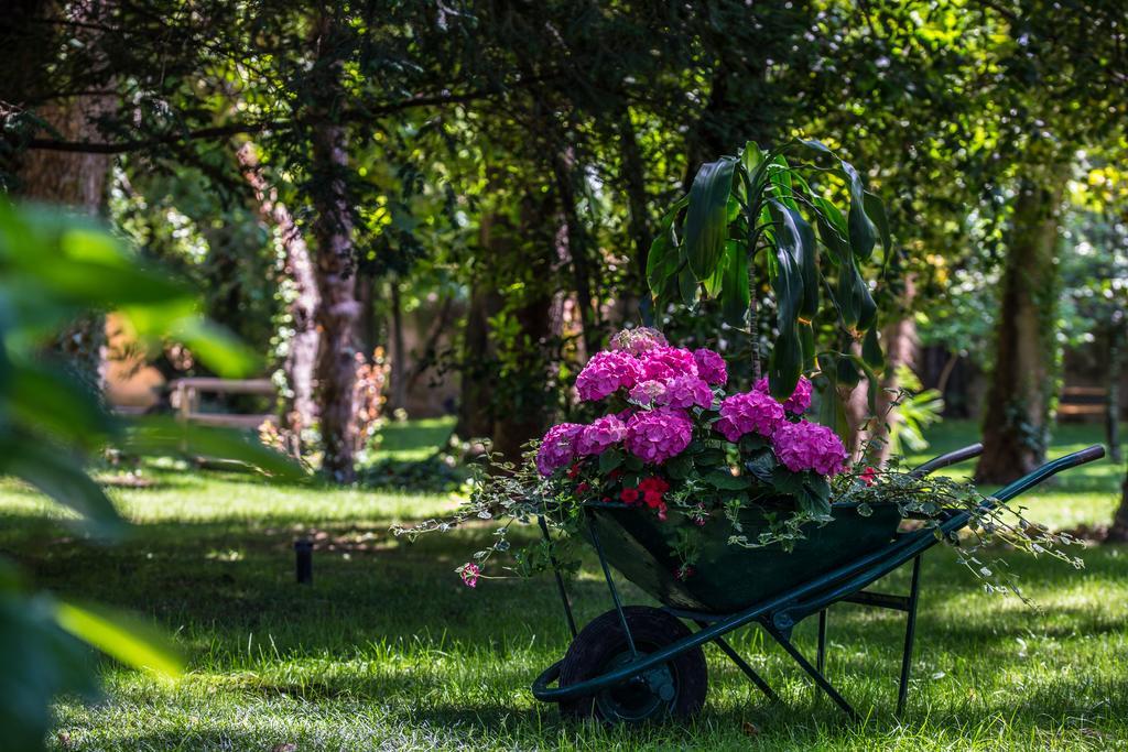 Hotel Vela D'Oro ***S Бардолино Екстериор снимка